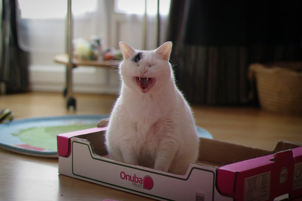 赛场心理素质稳定，抗压能力强，比赛抗压能力